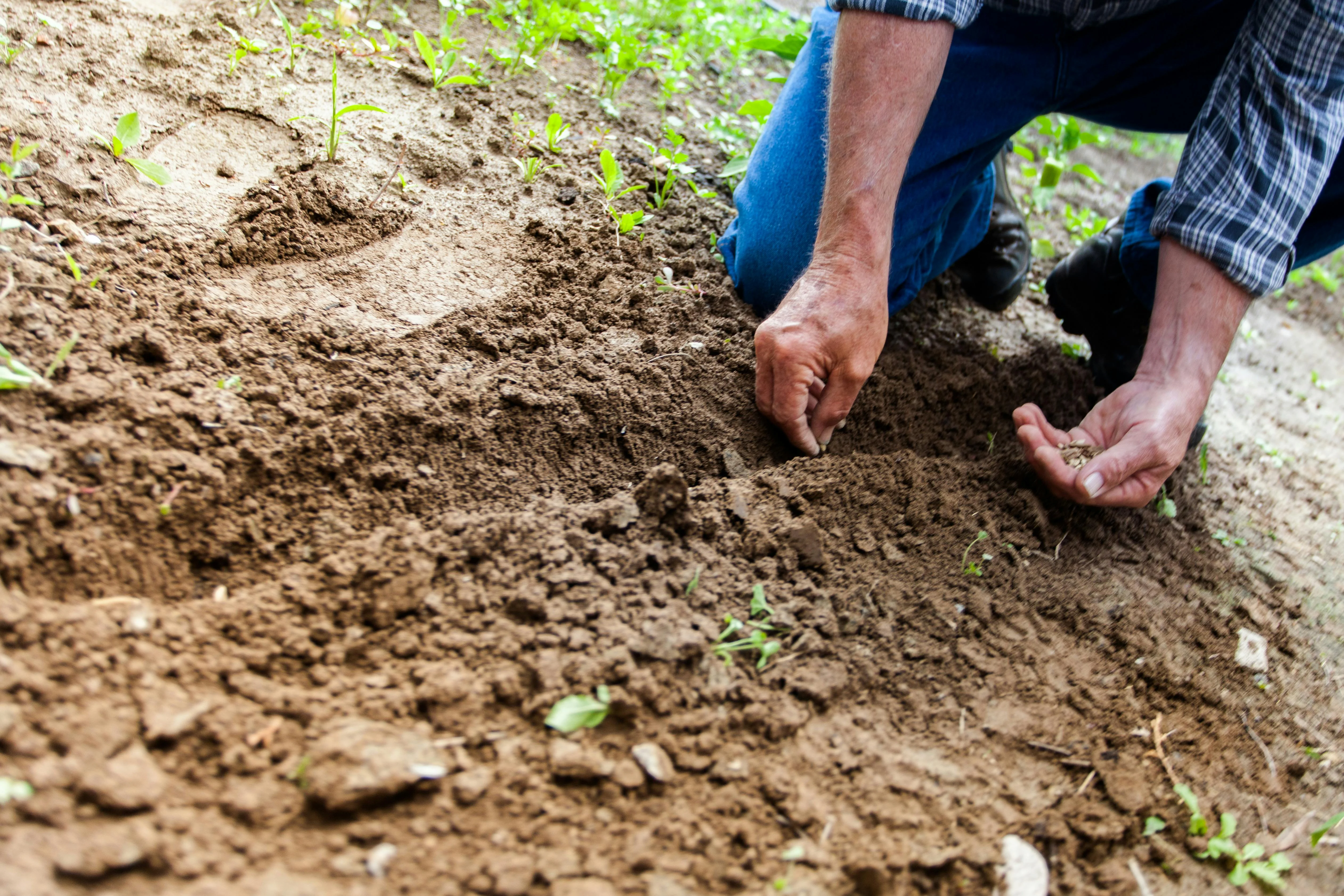Agriculteur